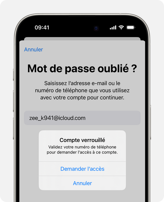 Vous avez un iPhone bloqué iCloud ?